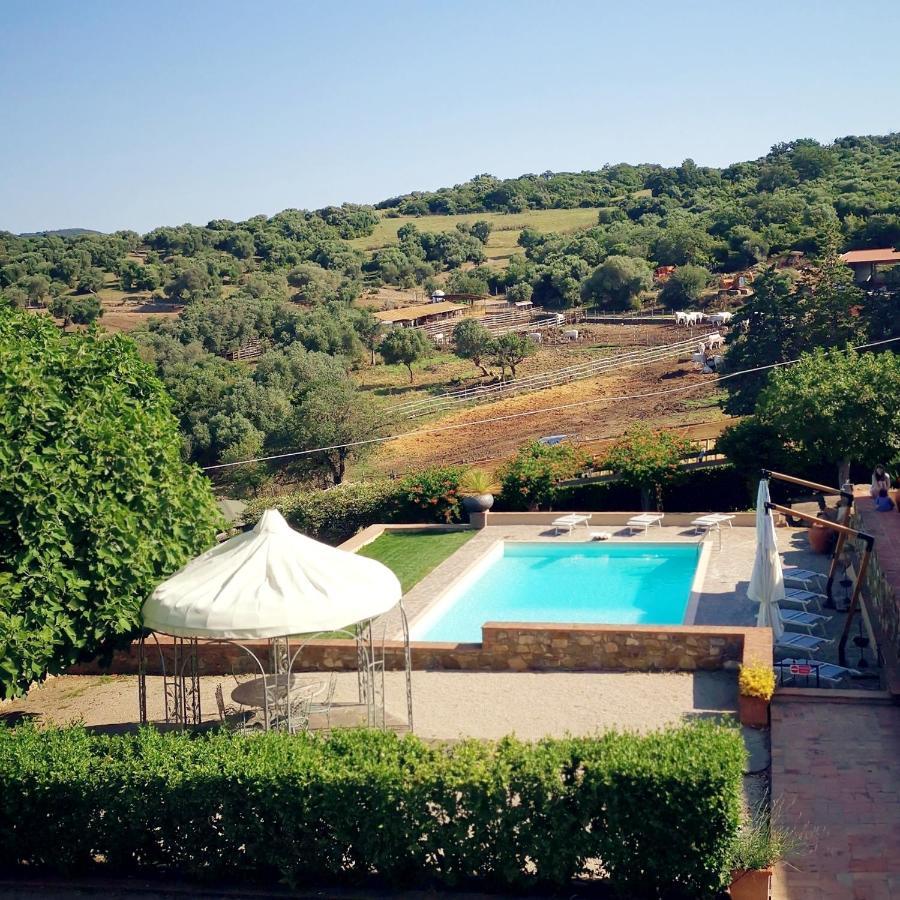 Fattoria Tolomei Campagnatico ภายนอก รูปภาพ