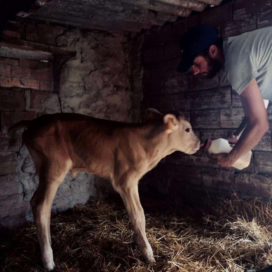 Fattoria Tolomei Campagnatico ภายนอก รูปภาพ
